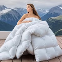 Deals on Wellos 900 Fill Power All Season Feather Down Comforter Queen